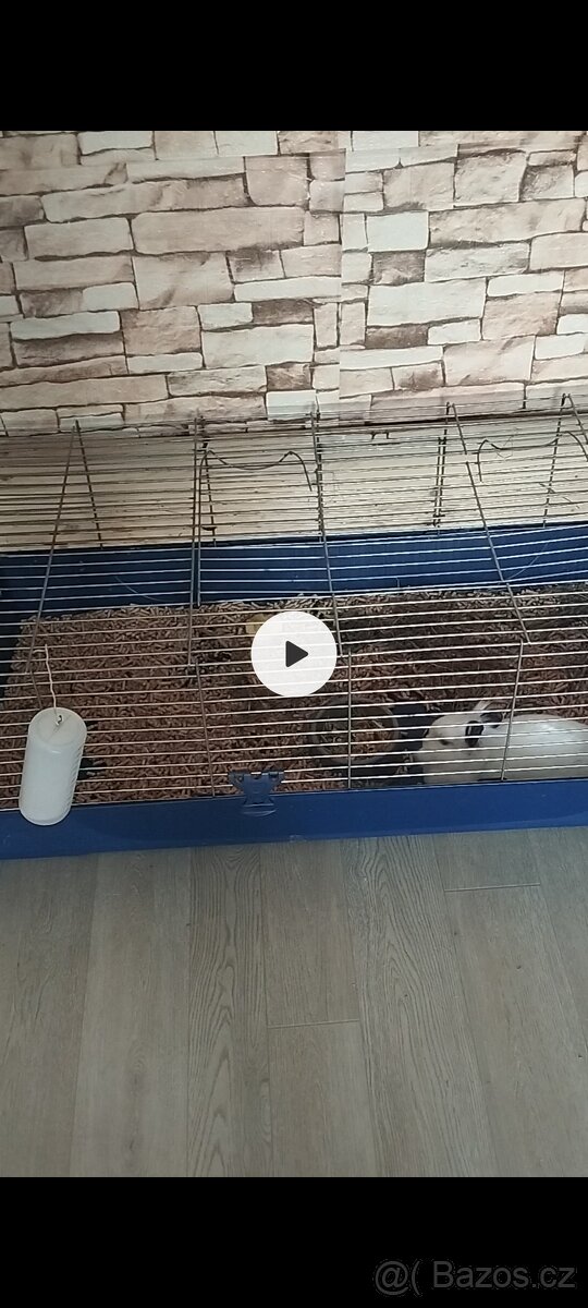 Klec pro králíka