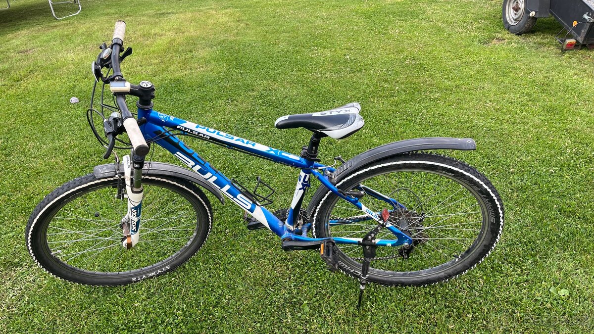 Bulls Pulsar
