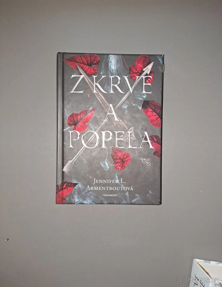 Z krve a popela-kniha