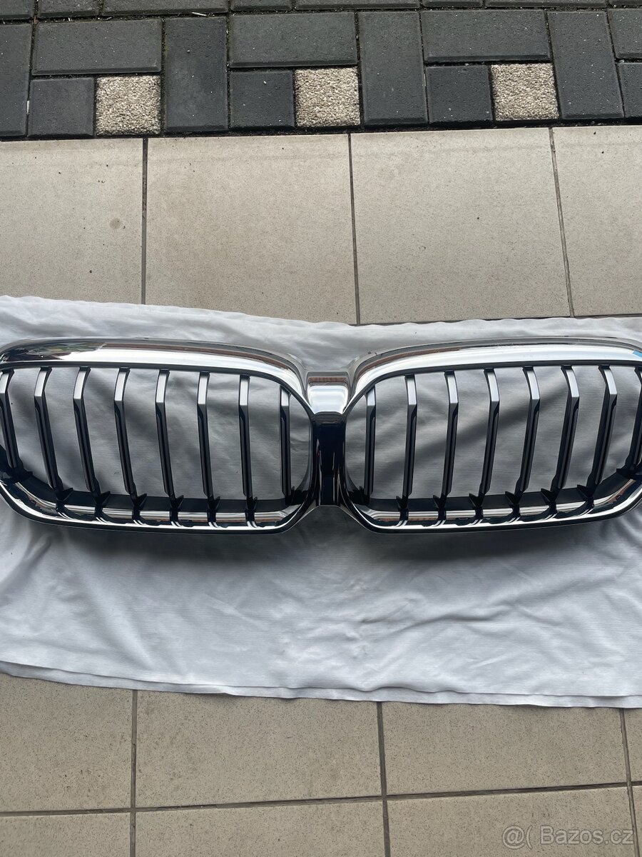 Ledvinky g31