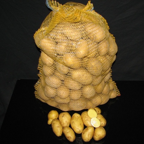 Konzumní brambory Marabell