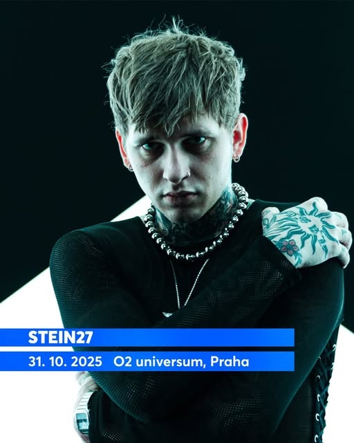 Stein27
