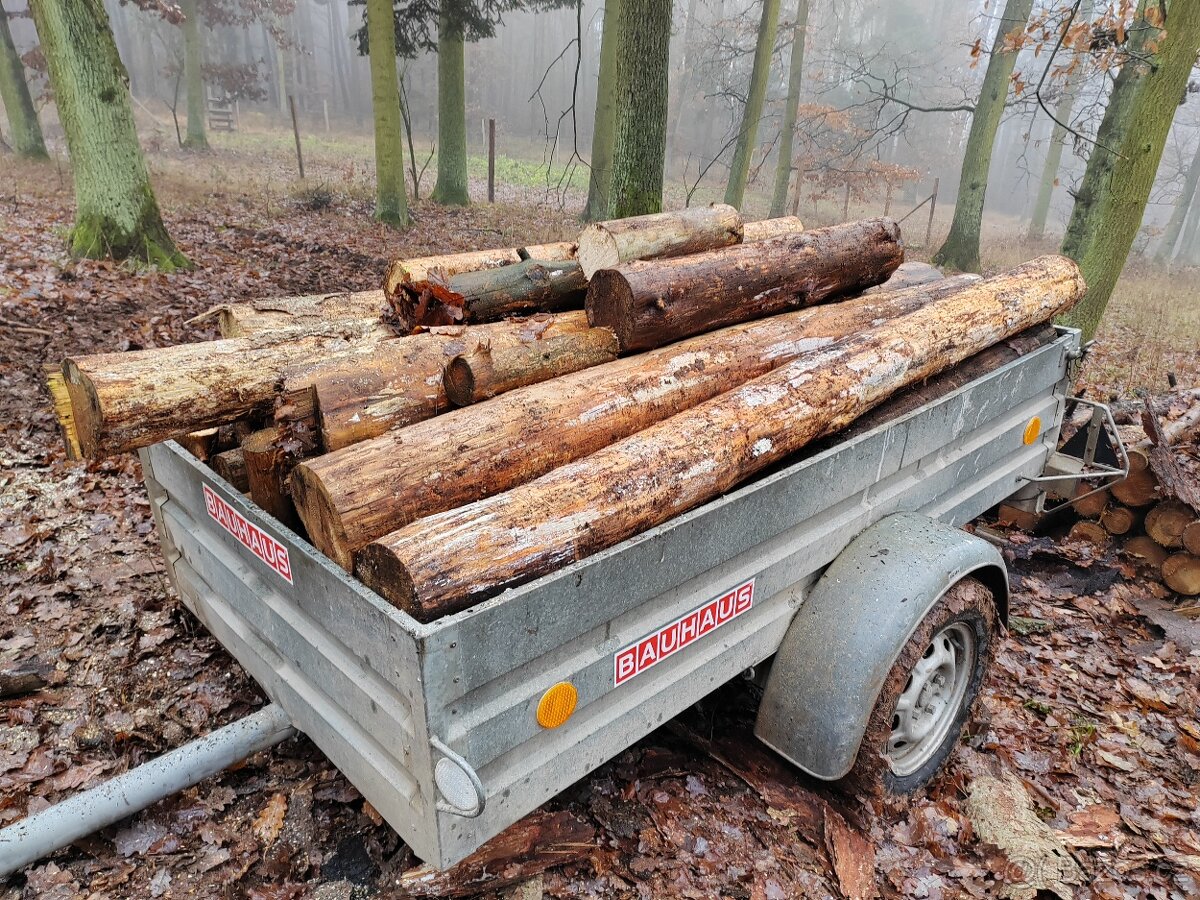 Palivové dřevo na prodej