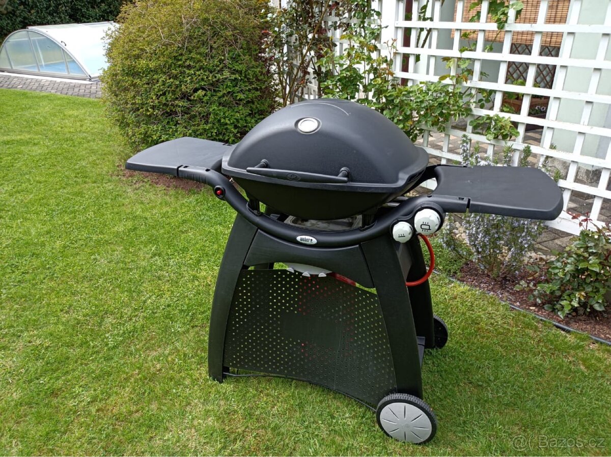 Weber Q3000 Gril