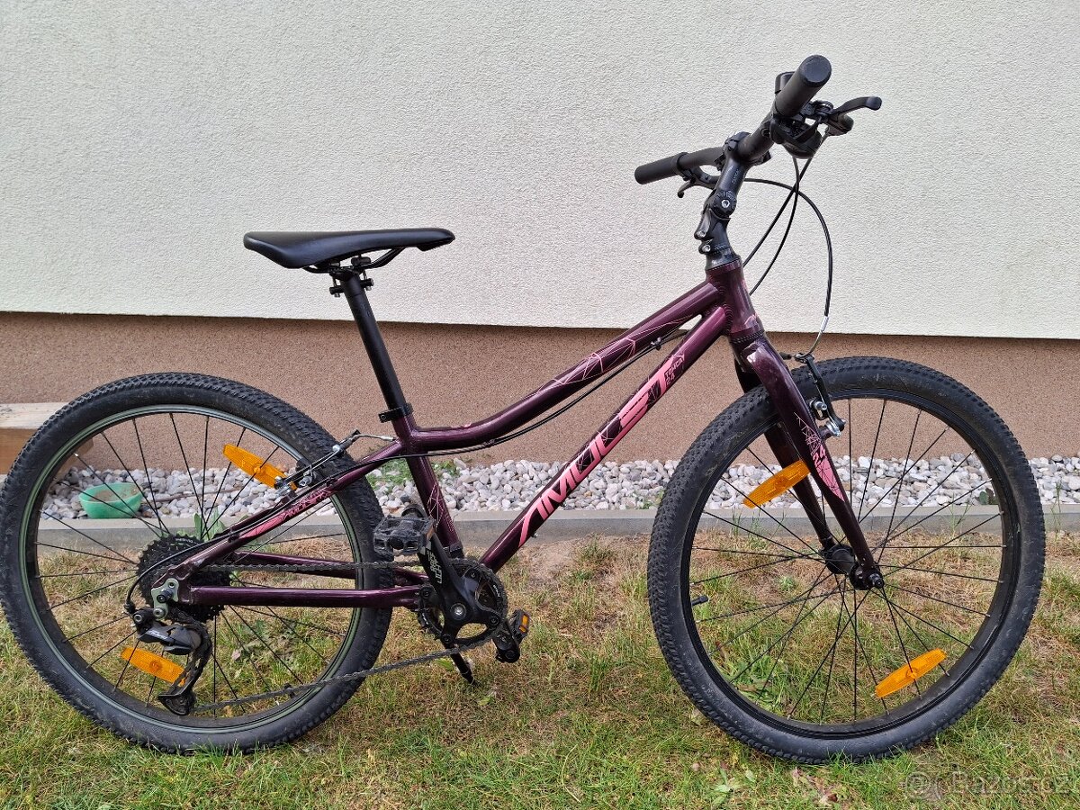 Amulet Tomcat 24"