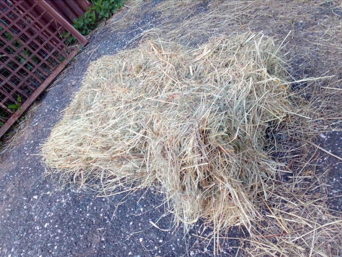 Prodám malé hranaté balíky sena