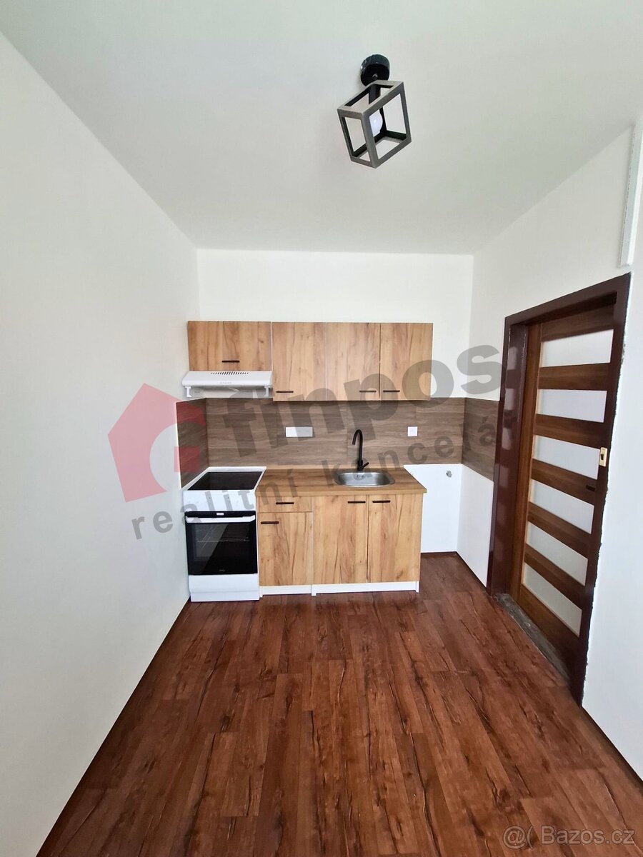 Pronájem bytu 1+1, Břidličná