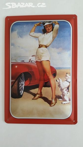 retro plechová cedule sexy žena auto pes