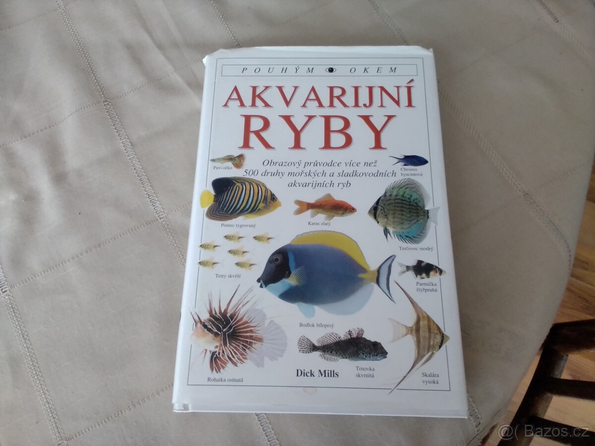 Akvarijní ryby - pouhým okem