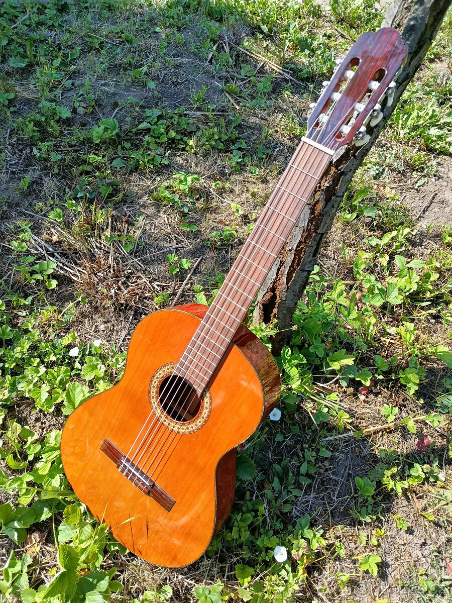 klasická kytara Vicente Sanchis - handmade in Spain 1987