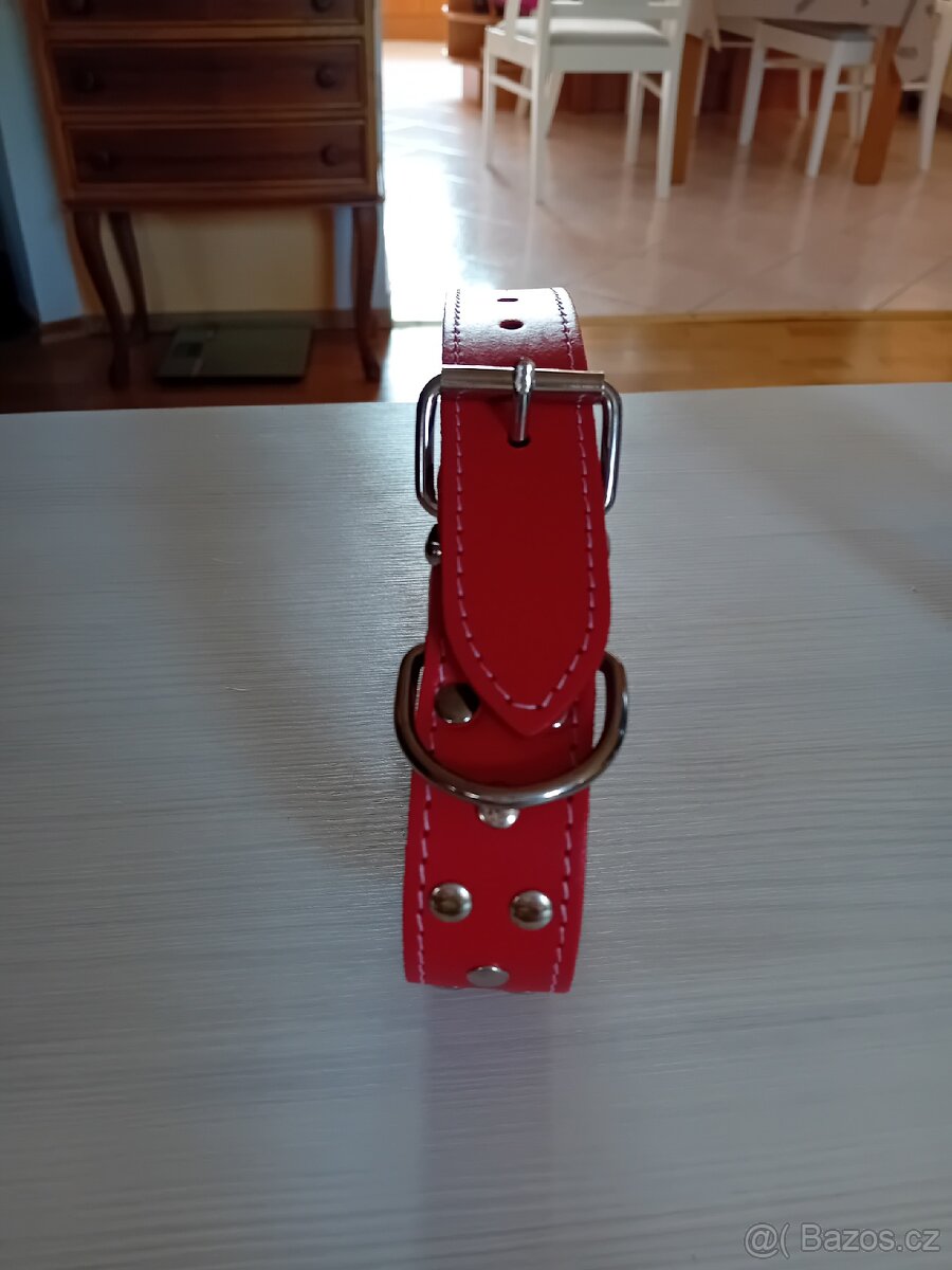 Prodej obojku a vodítka pro psy