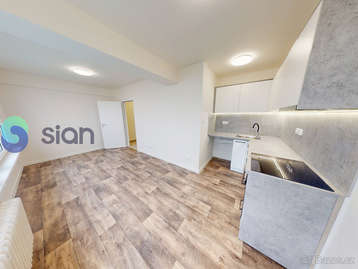 Podnájem bytu 1+kk, 25 m2, Janáčkova 157