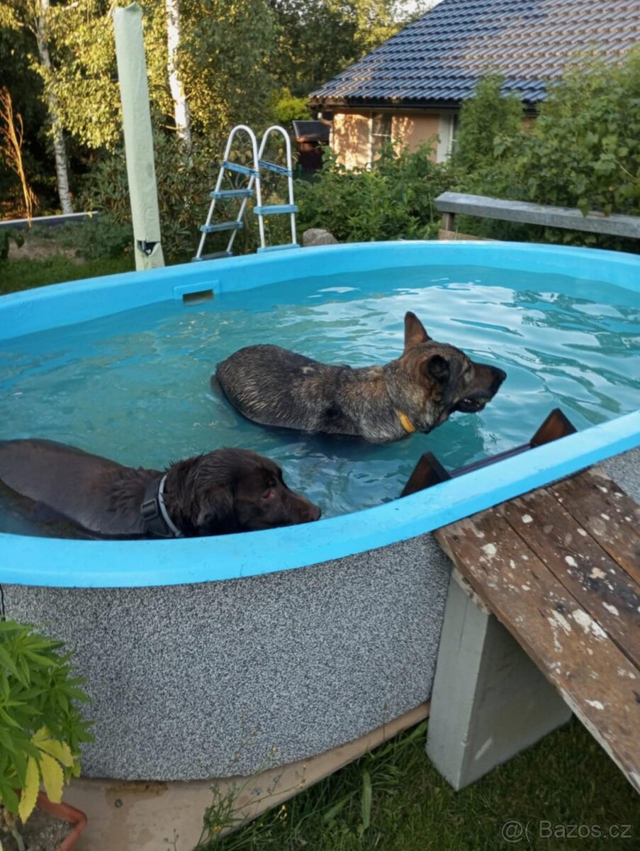 Bazén pro děti a psi