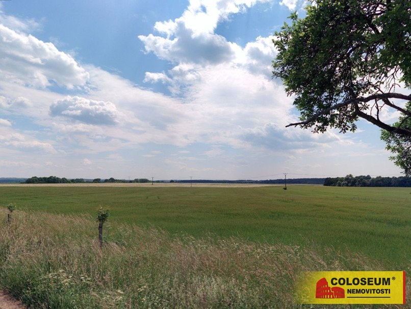 Šošůvka, zemědělská půda, celková rozloha 12.004 m2 - pozeme