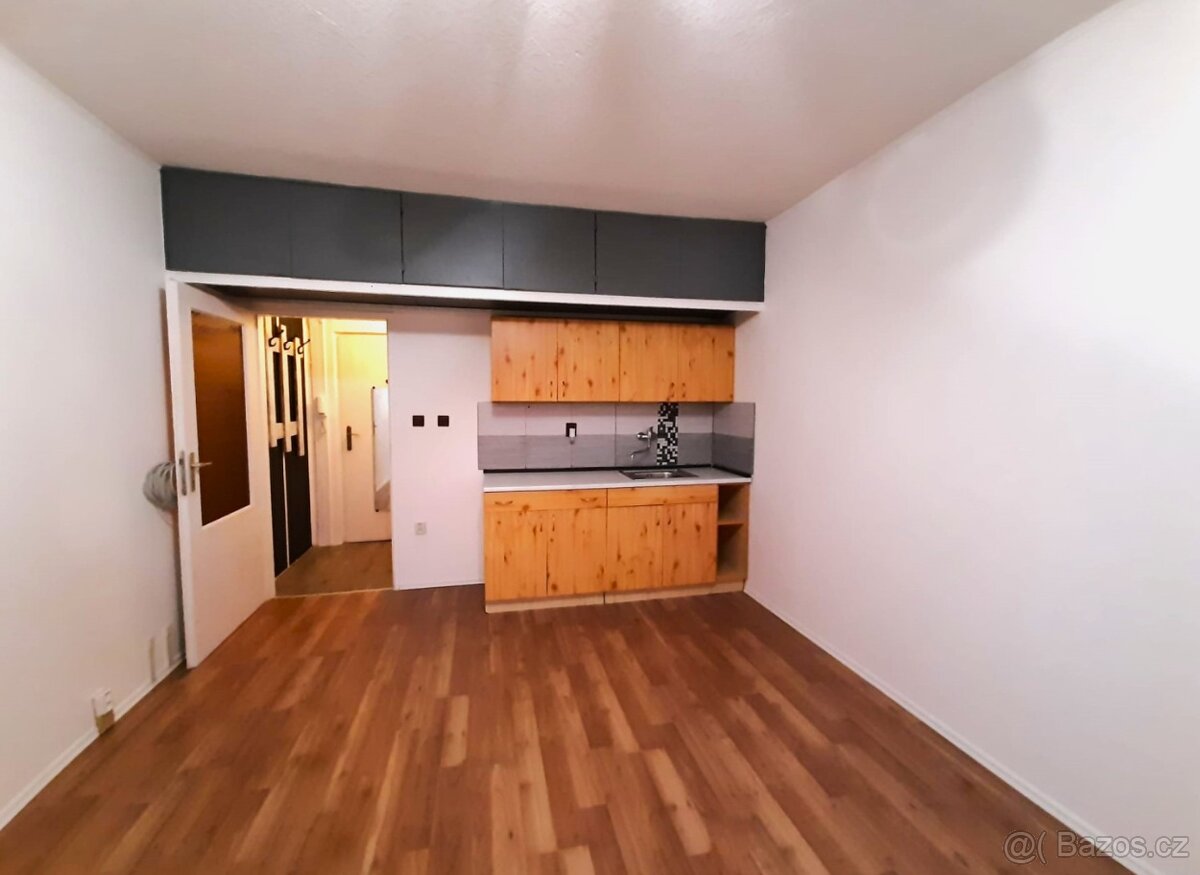 Pronájem bytu 1kk Moravský Beroun