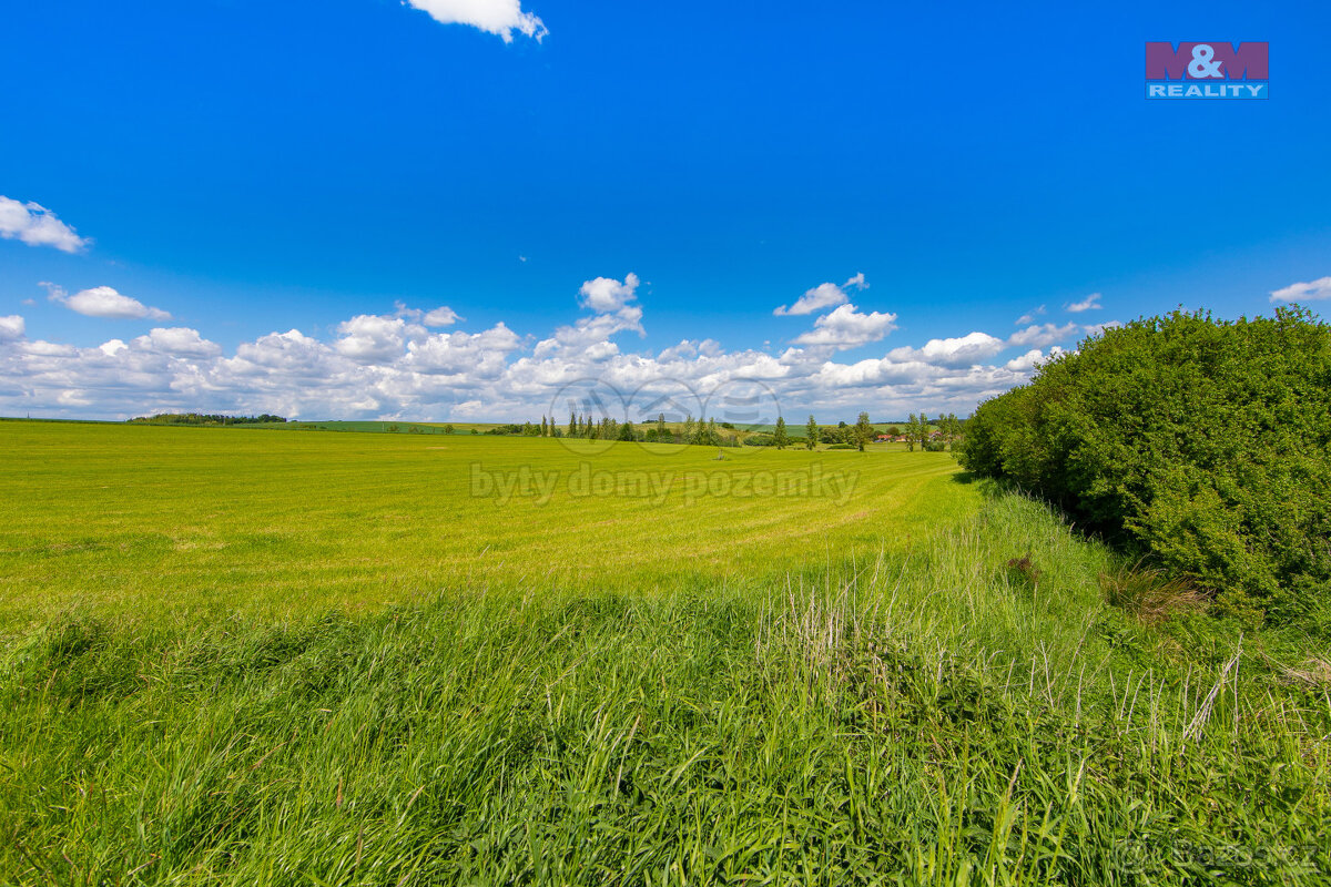 Prodej louky, 2373 m², Blížejov