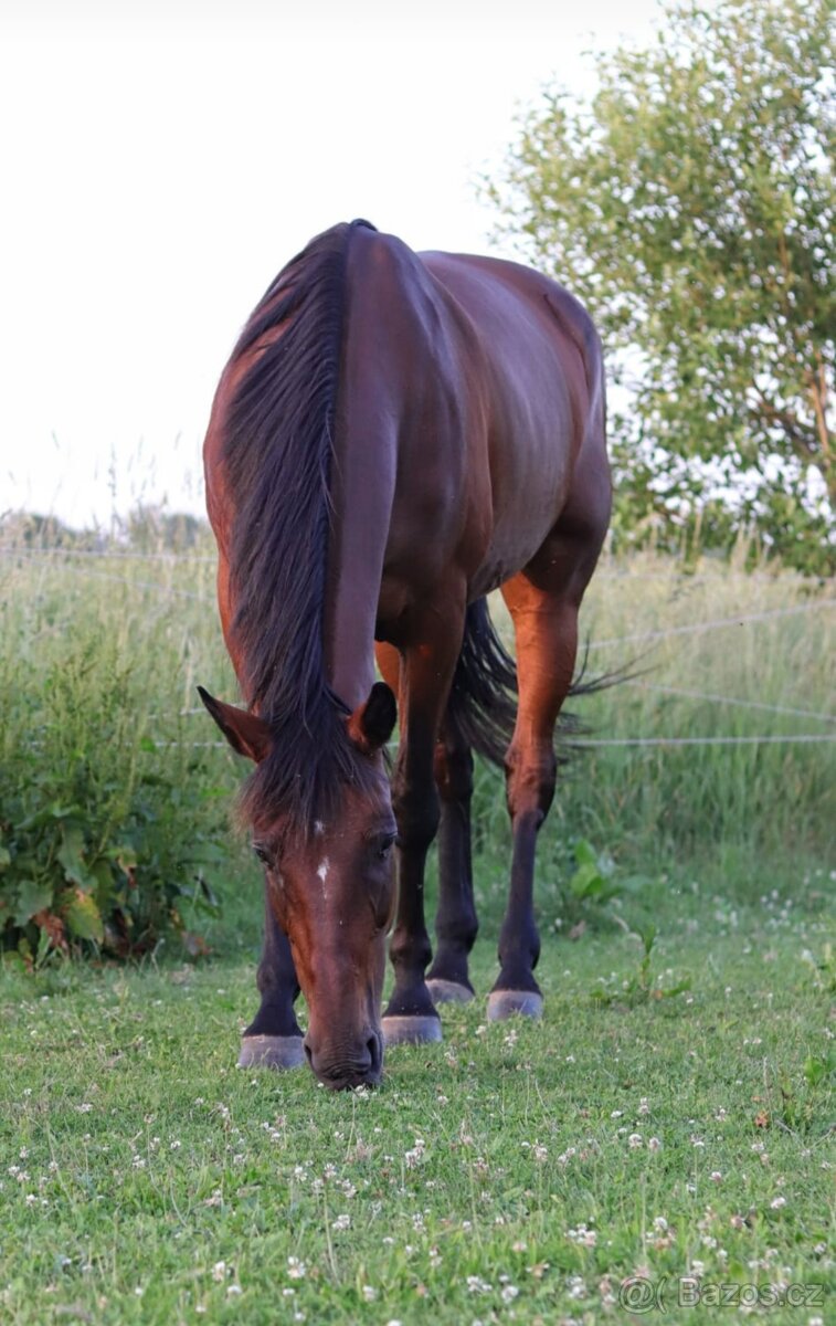 Hobby klusačka