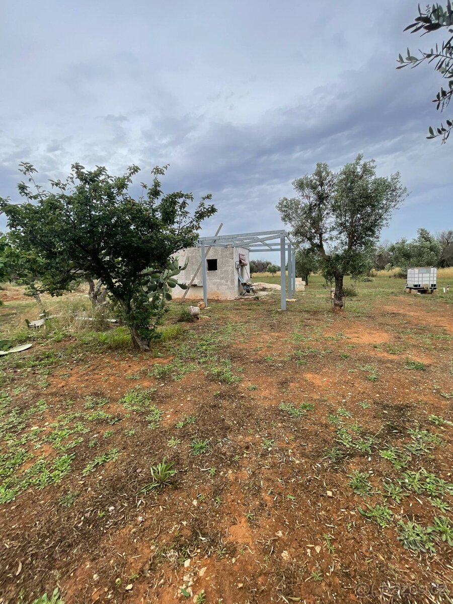 Prodám zahradu 4 284 m² s domkem vhodným k dostavbě Itálie