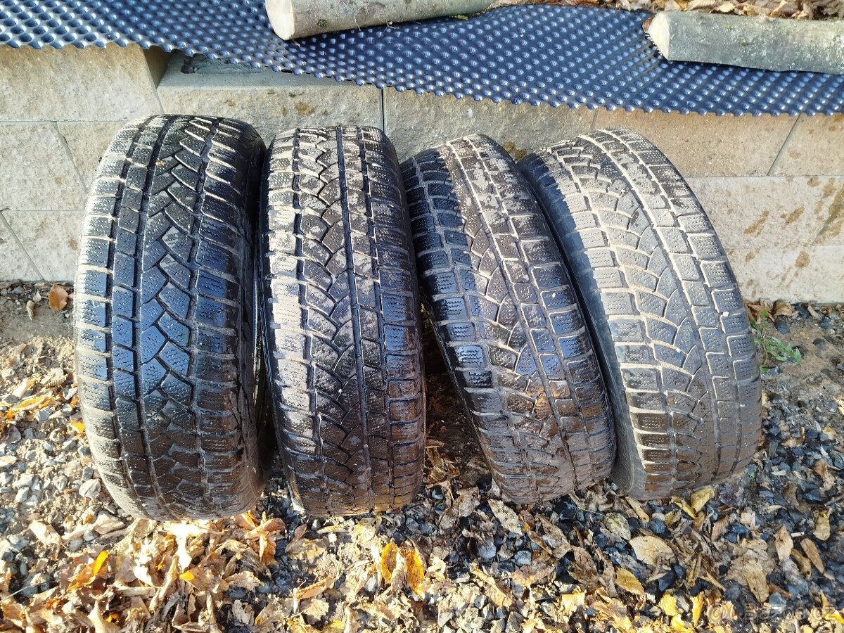 Zimní pneu Vranik 195/65 R15 91T