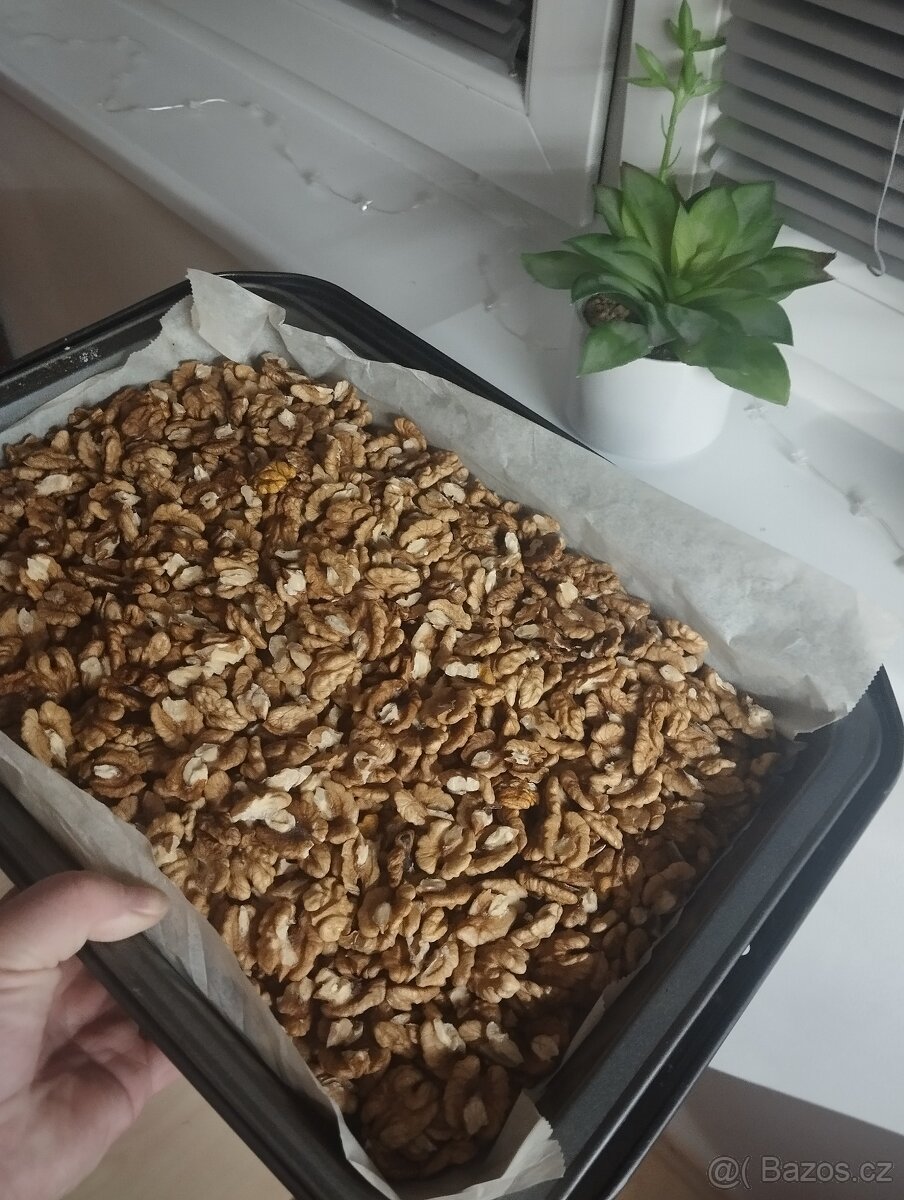 Nabízím letošní vlašské ořechy