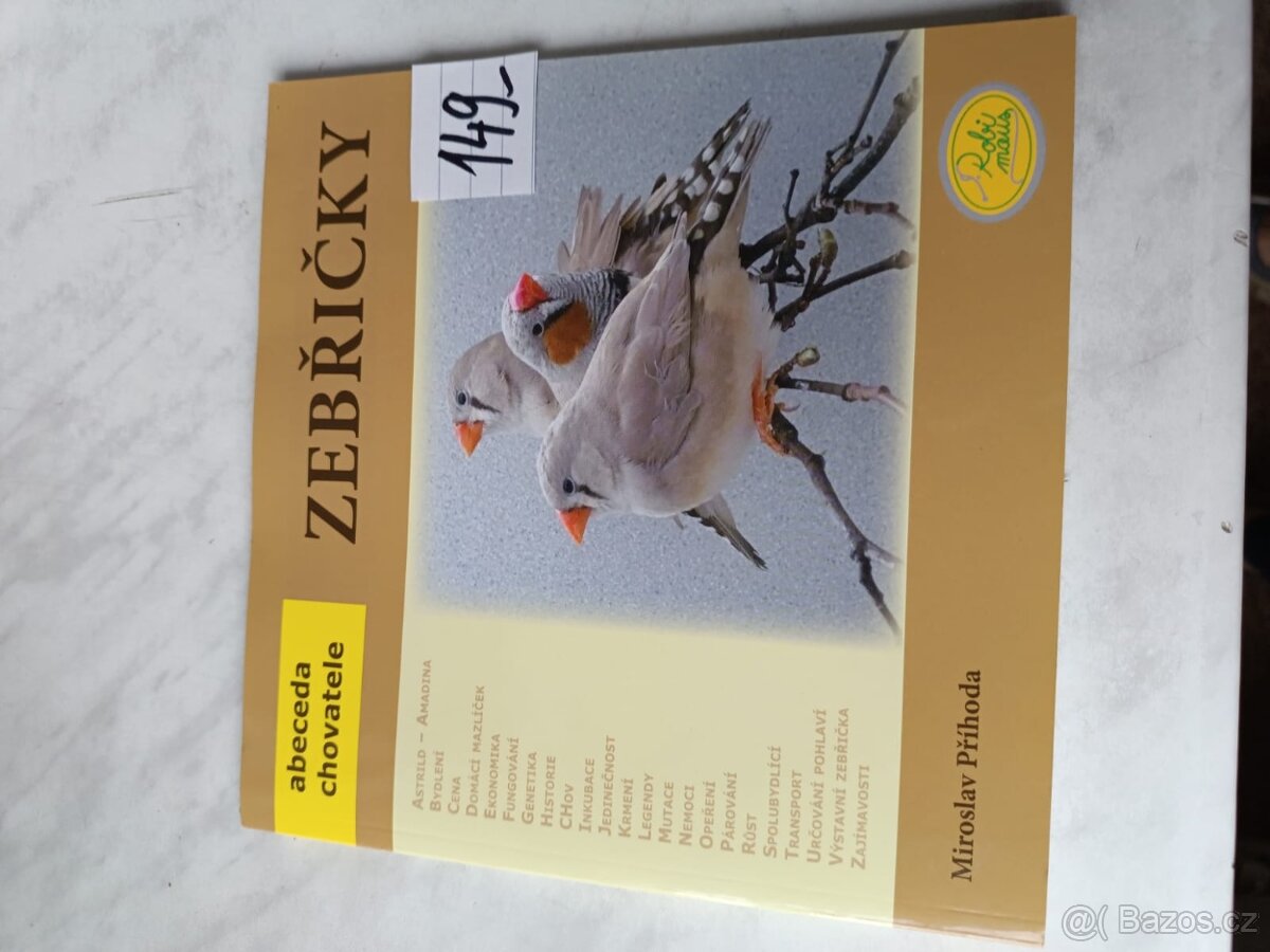 Papoušek ptáci dravci