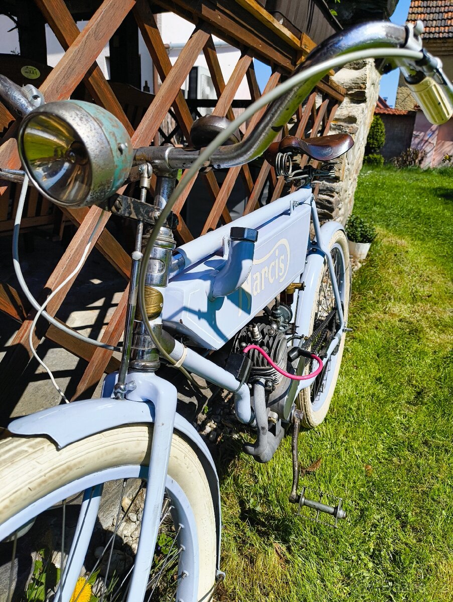 Motokolo Narcis