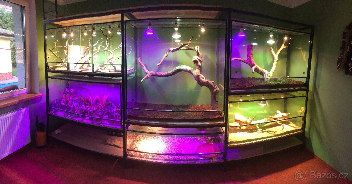 Terarium