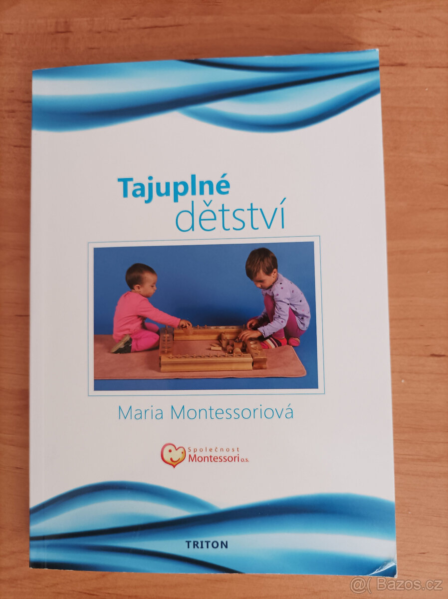 Kniha Tajuplné dětství