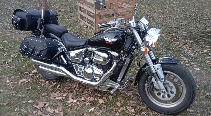VZ 800 Marauder