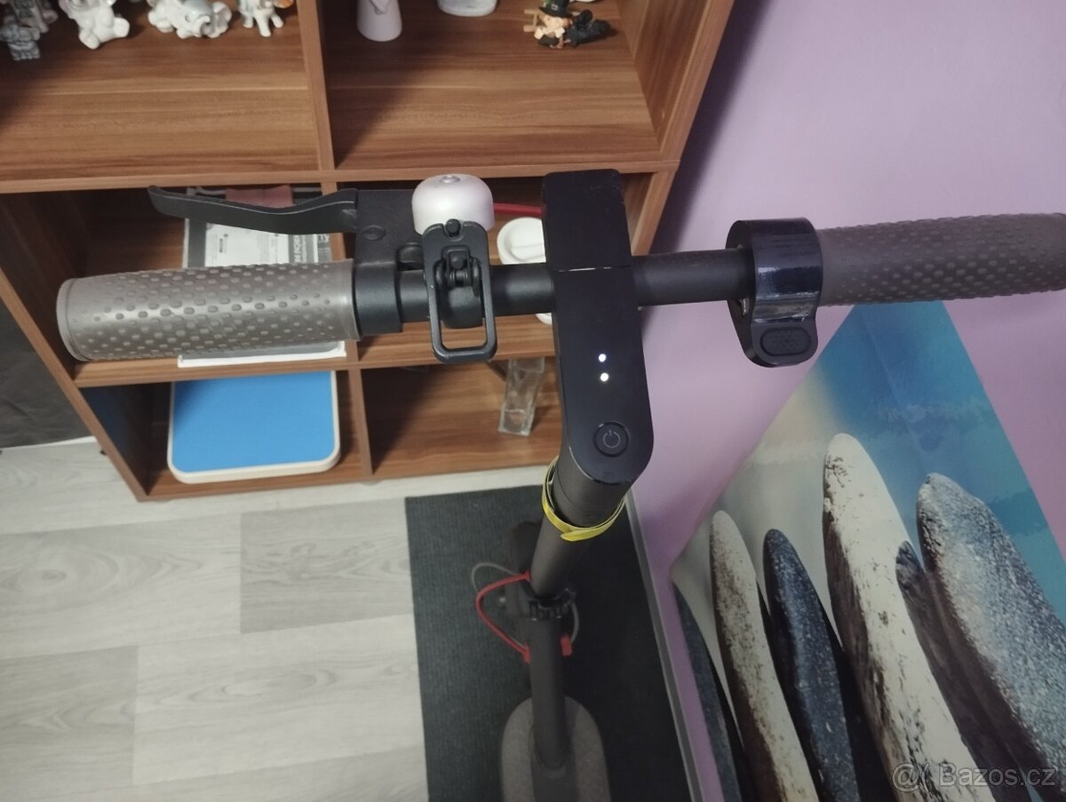 Prodám