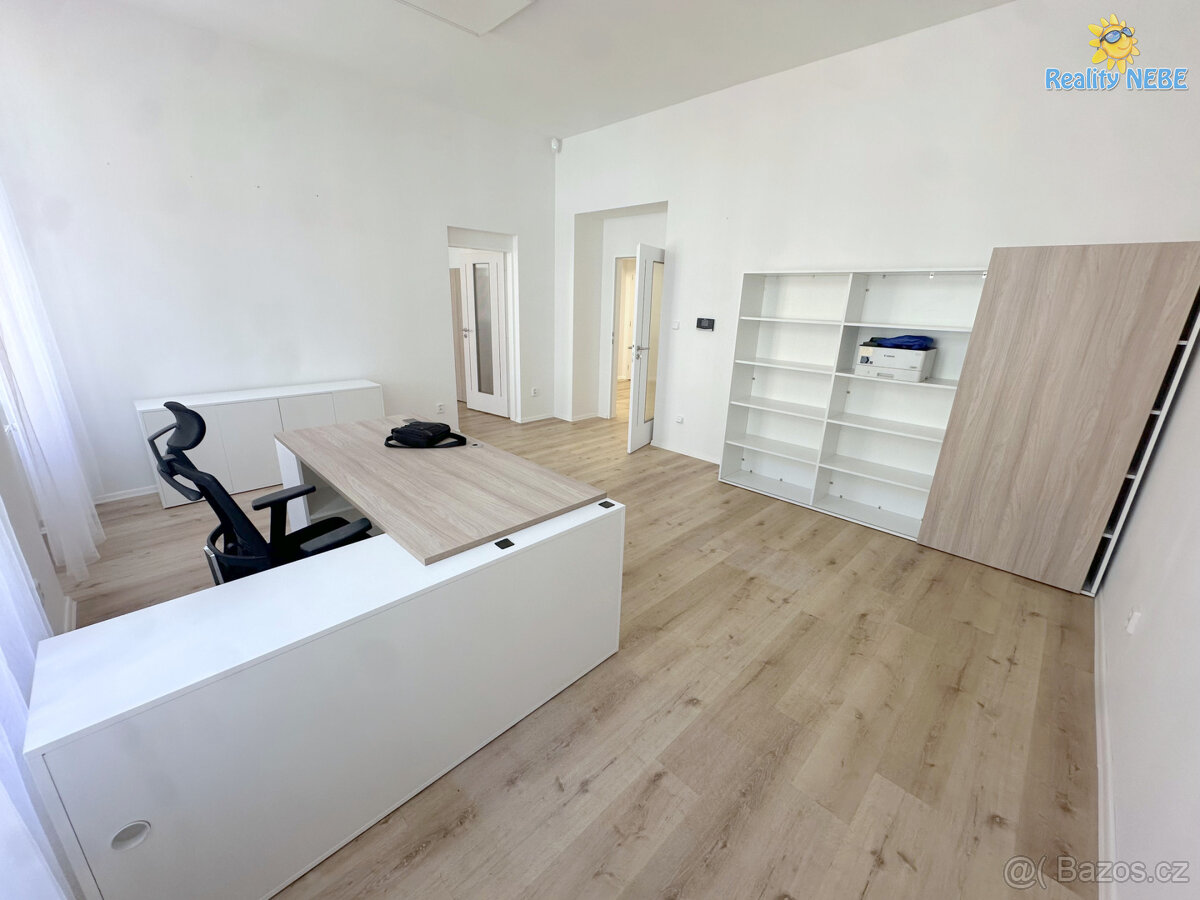 Pronájem kancelářských reprezentativních prostor Londýnská P