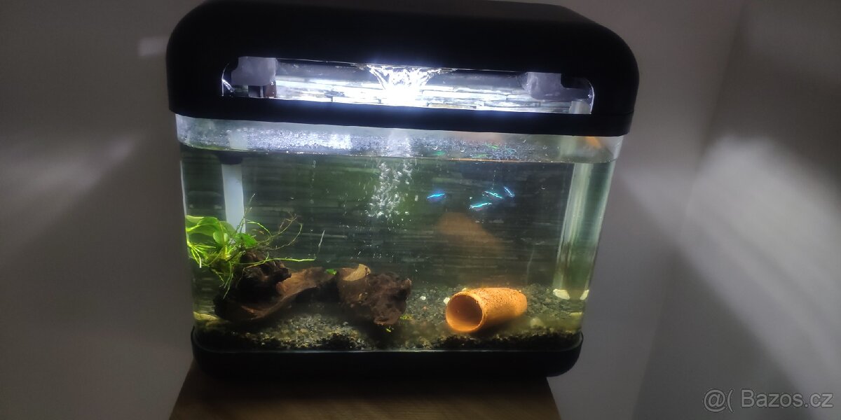 Akvárium vybavené s filtrem světlem 4x neonky
