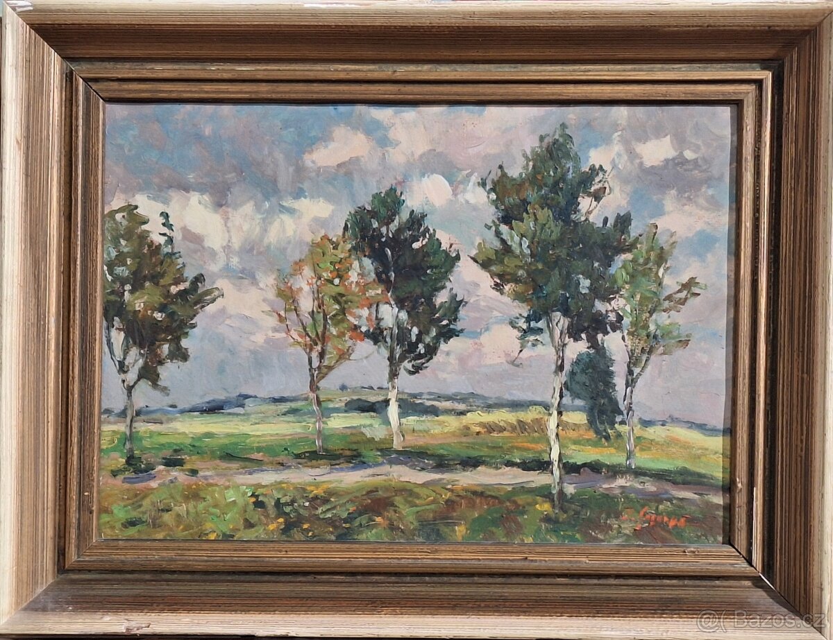 Jaroslav Sodomka