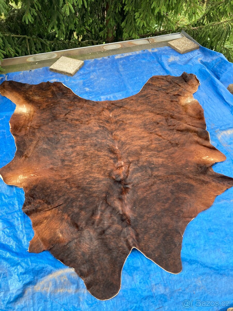 Hovězí kůže - KOLDBY