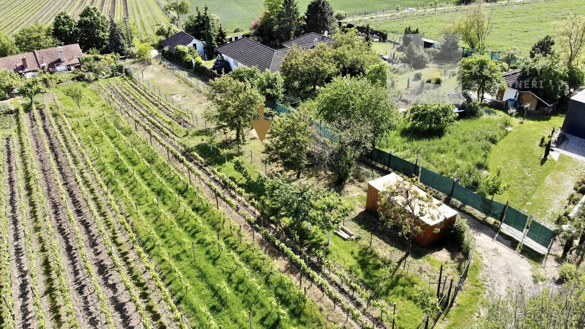 Prodej, Pozemky, Vinný sklep, Ubytování, 528 m2 - Mikulov
