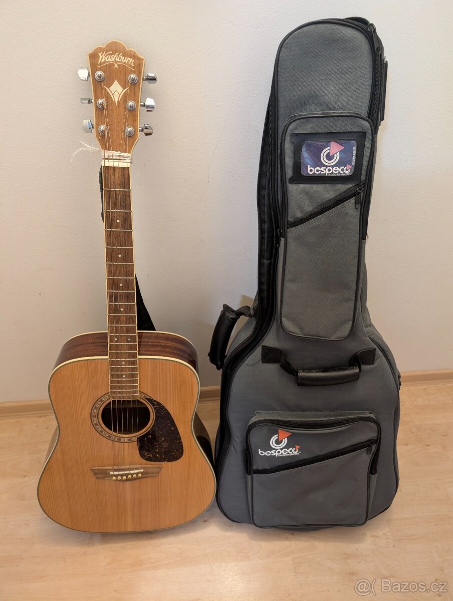 Kytara Washburn WD10S