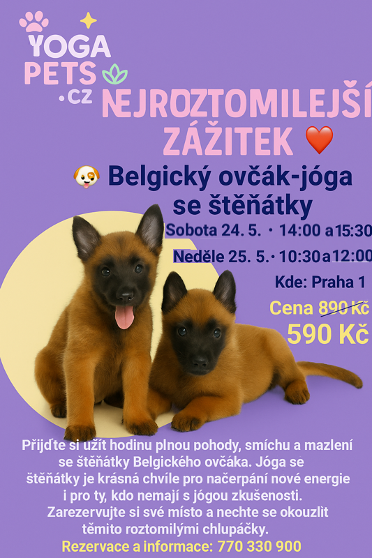 Uzasny zazitek, voucher, vstupenka, stenata