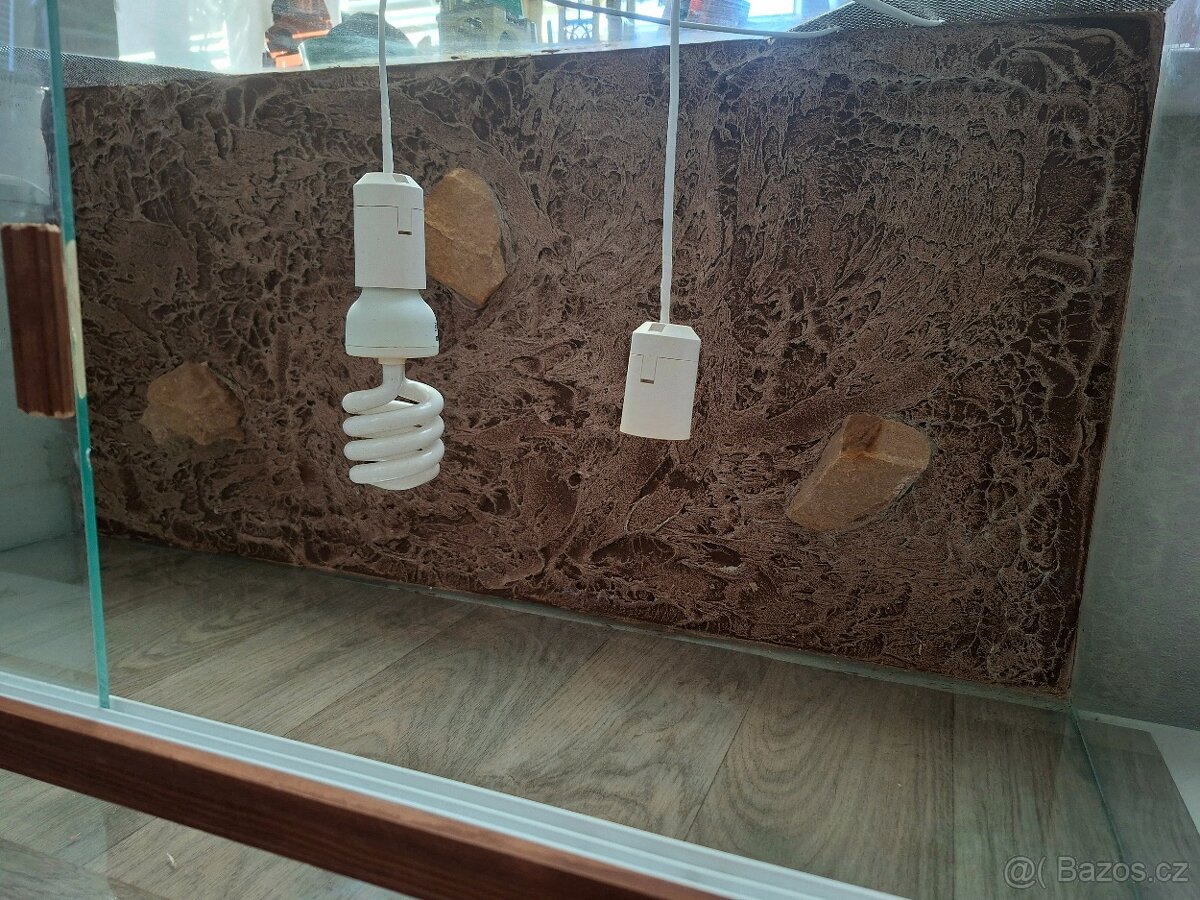 Terárium