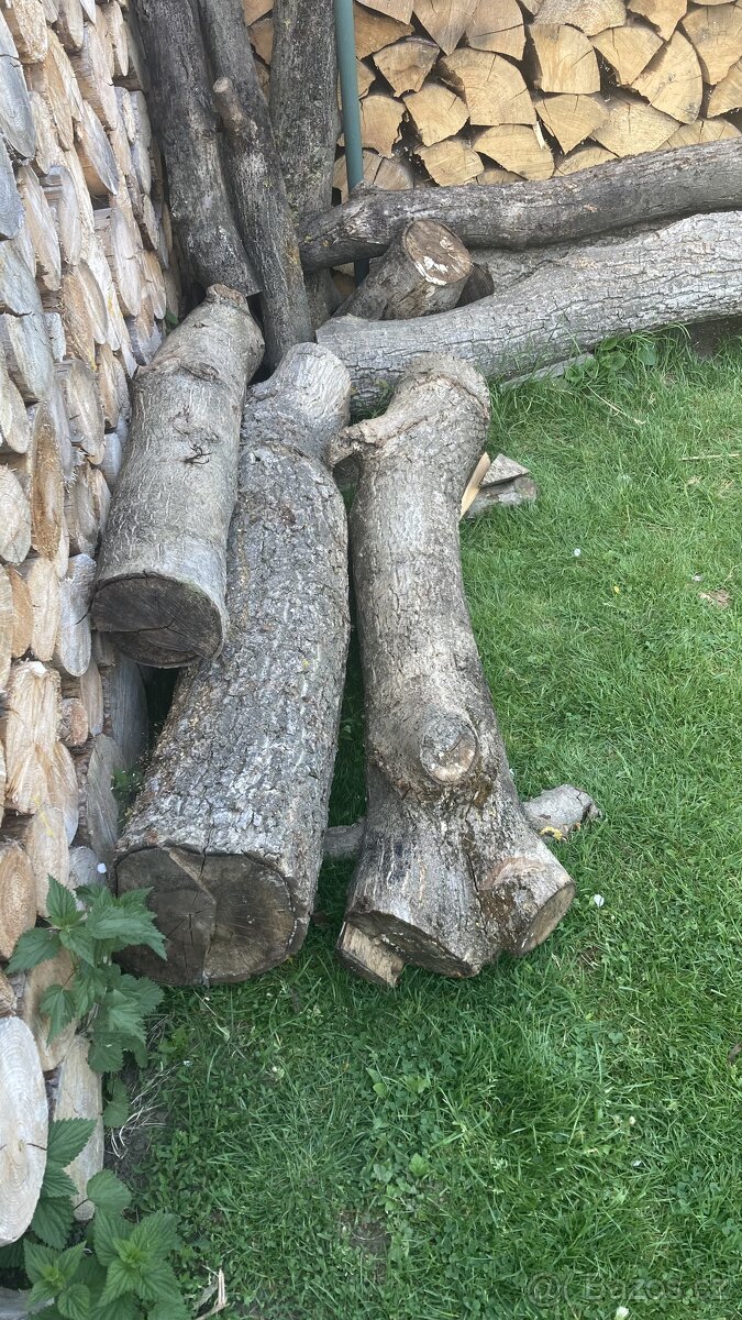Prodám ořechové kulatiny
