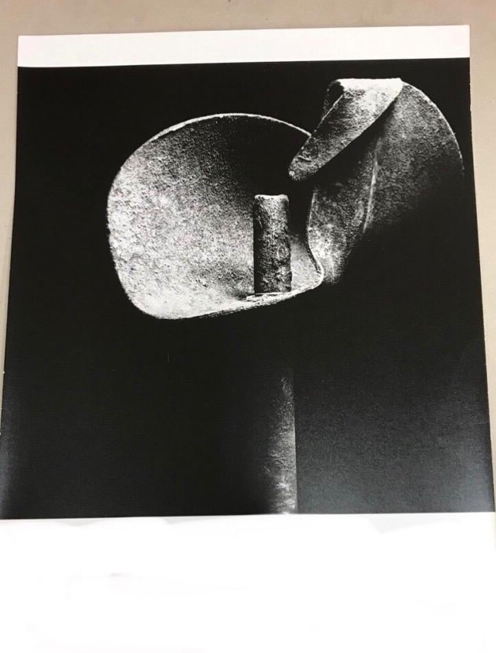 Umelecka fotografie Květ