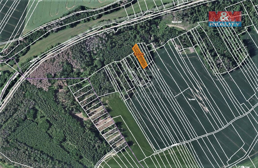 Prodej lesa, 1133 m², Trhový Štěpánov