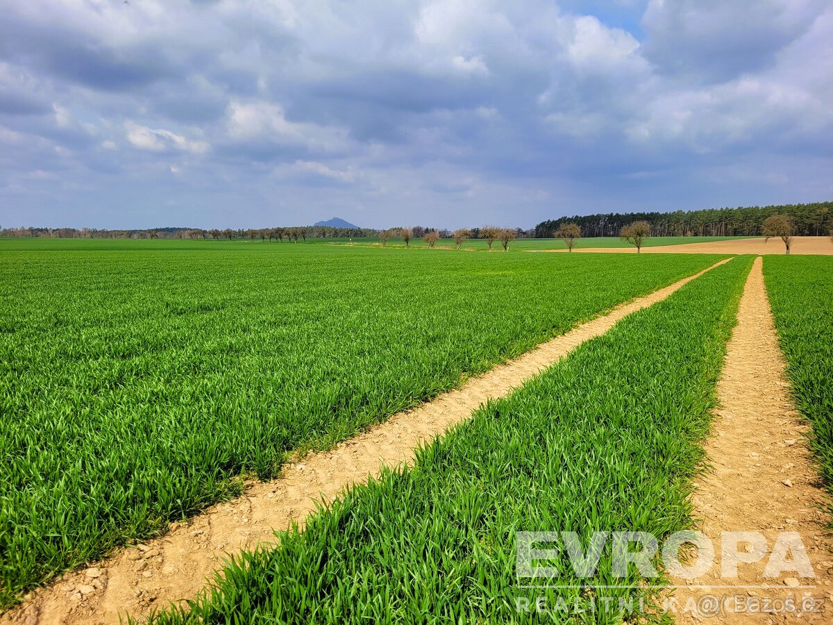 Prodej pozemků o celkové rozloze 27281 m²