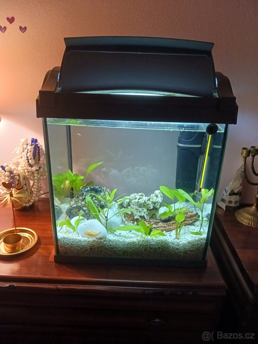 Prodám akvarijní set 70 l