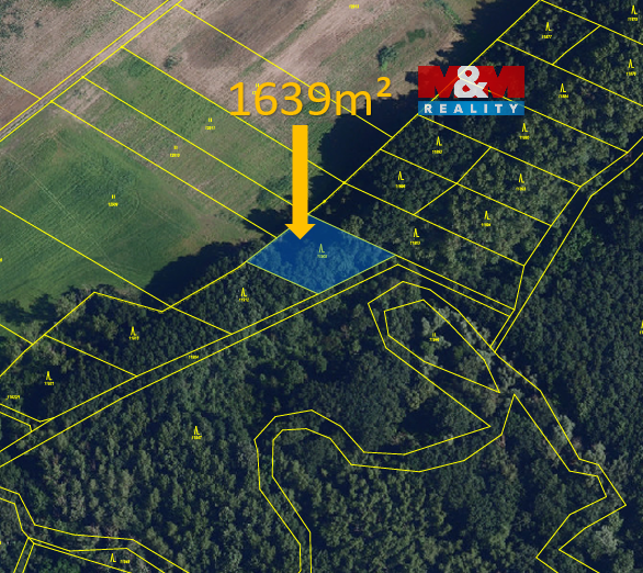 Prodej lesa, 1639 m², Hrabětice