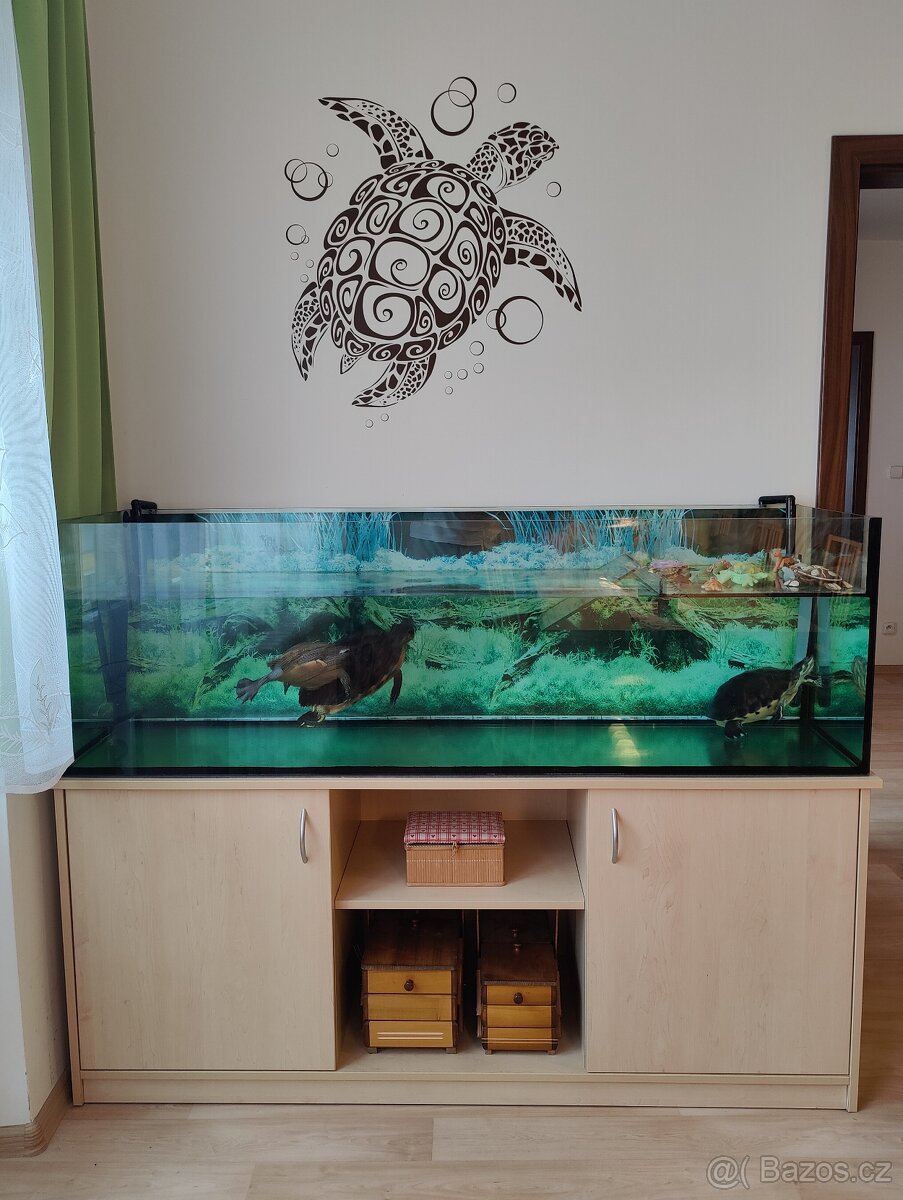 Želvárium-akvárium set včetně 3 vodních želv
