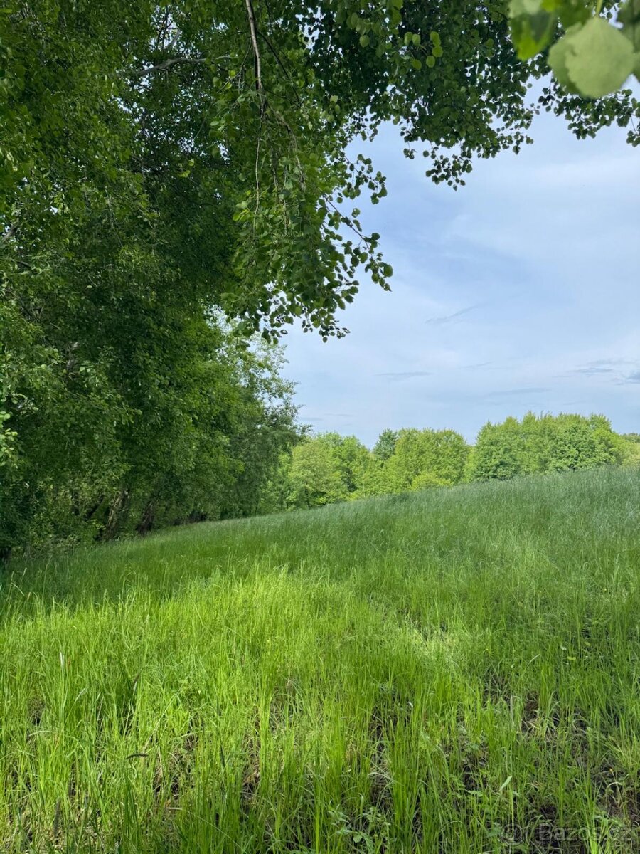 Prodám pozemky v katastrálním území Český Dub - louky