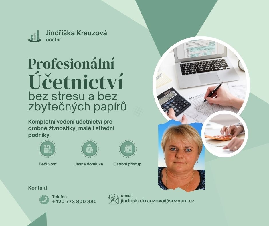 profesionální účetnictví