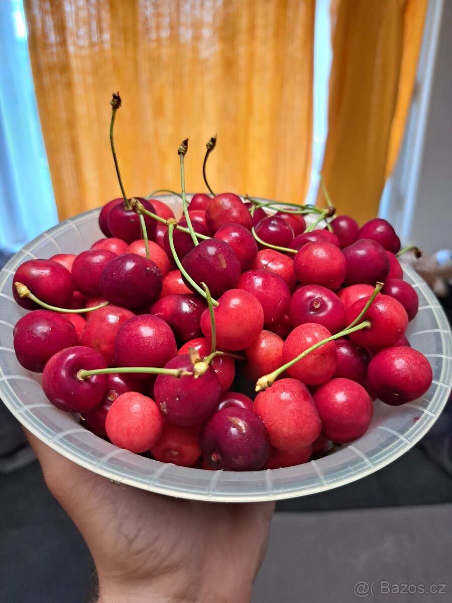 Domácí Třešně 1kg