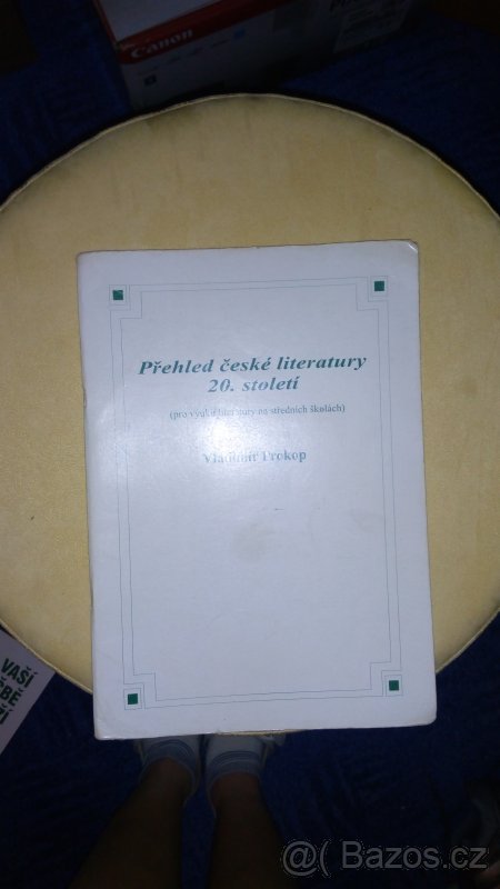 Přehled české literatury 20. století