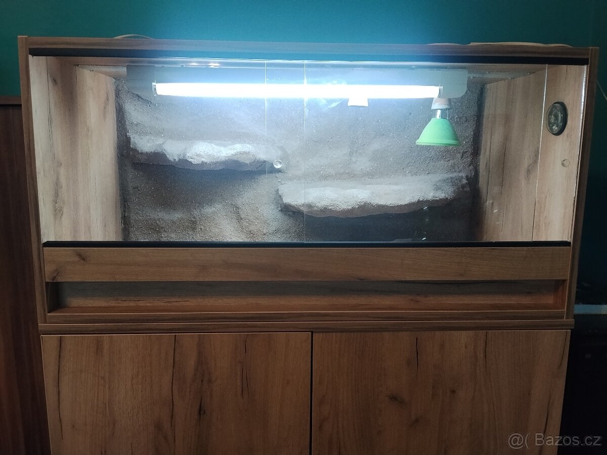 Terarium